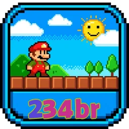 234br